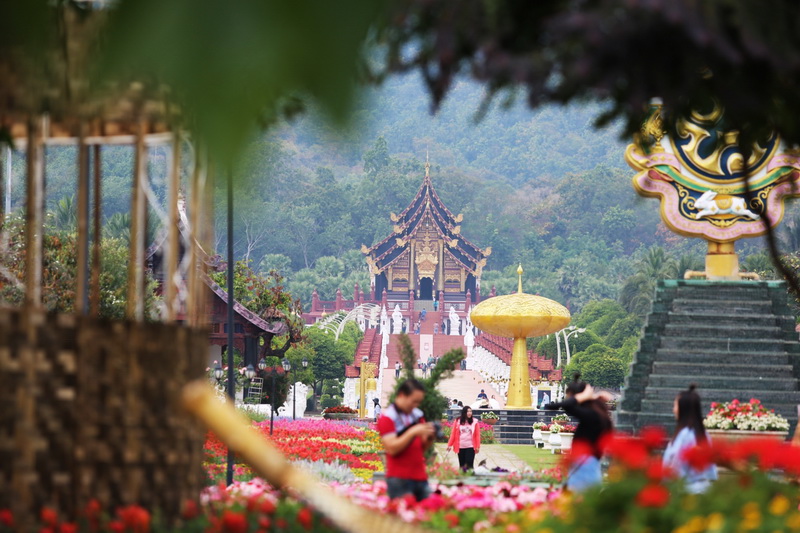 fogyás chiang mai-ban hűvös formálás és fogyás