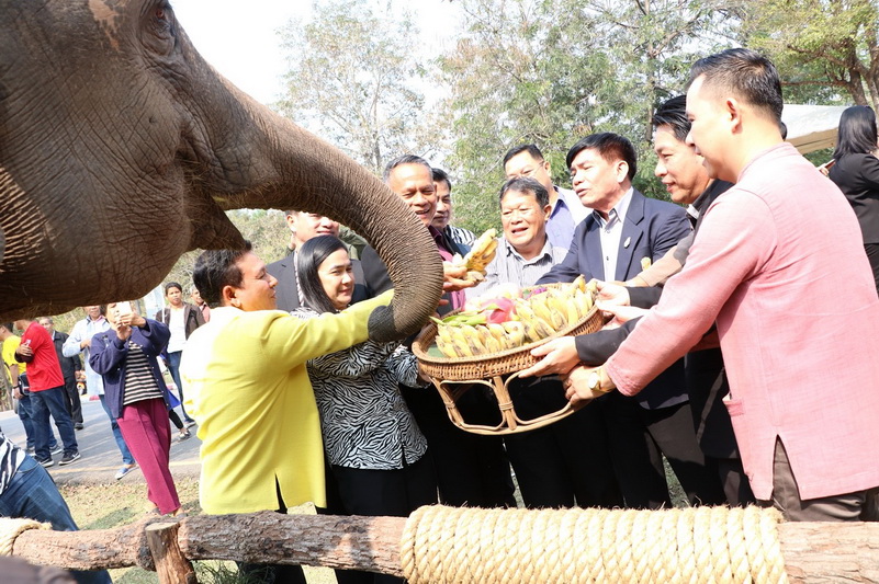 เชียงใหม่ไนท์ซาฟารี ฉลองครบ 12 ปี สานสัมพันธ์วิสาหกิจชุมชน 4 ตำบล จัดขันโตกเลี้ยงสัตว์