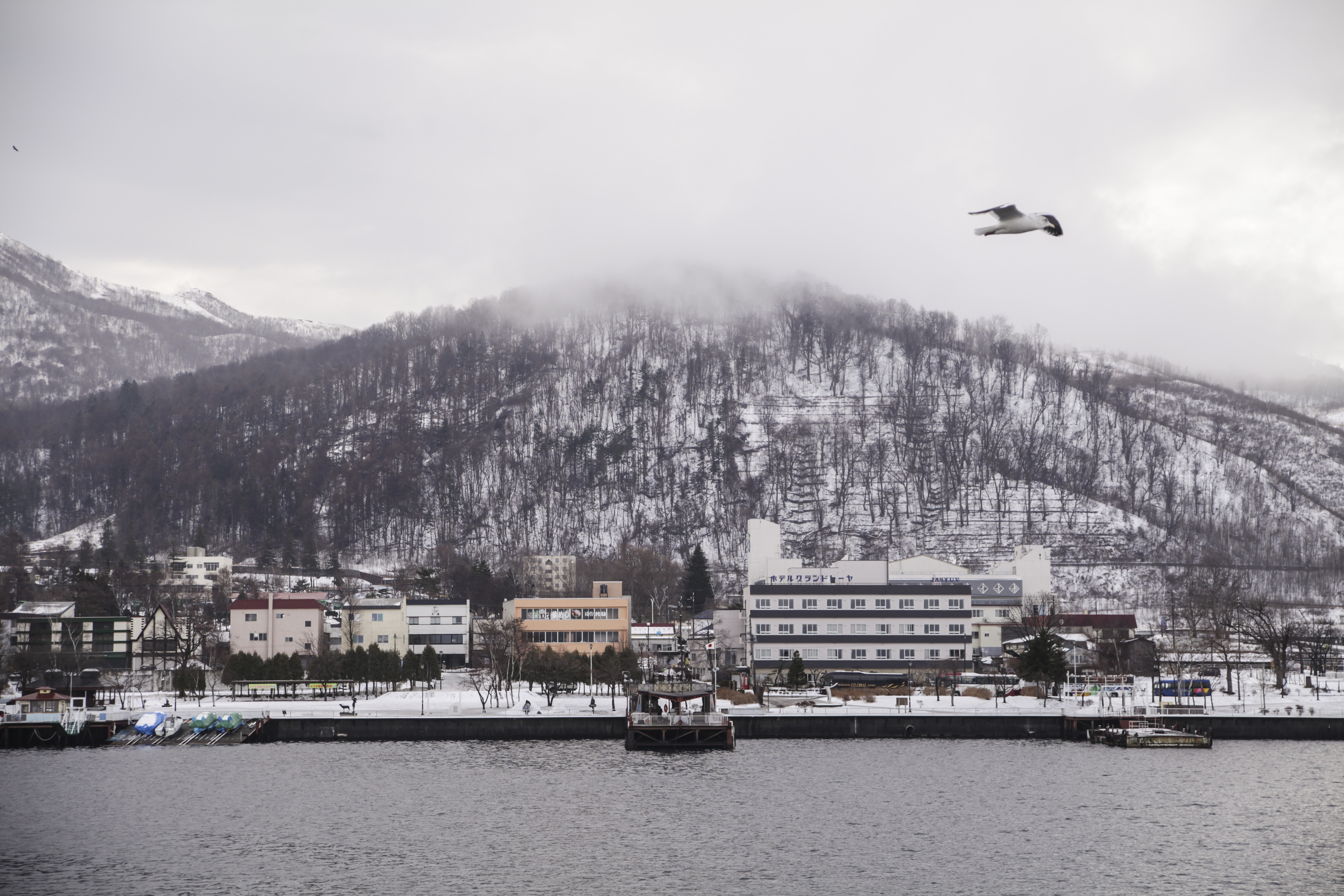 Hokkaido, I miss snow. Not the cold, but how pretty snow is.