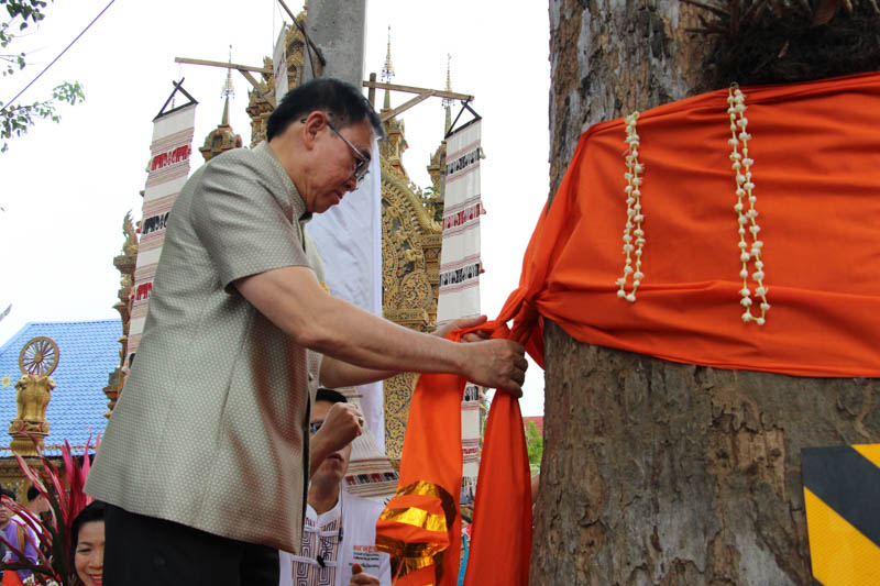 ยางนาสารภี ศรีเชียงใหม่